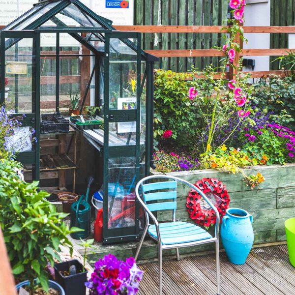 Greenhouse-in-the-Vets-Hub-Allotment